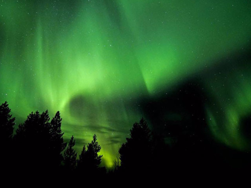 Picture of Northern Lights Safari